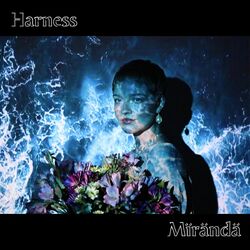 Cover of Harness