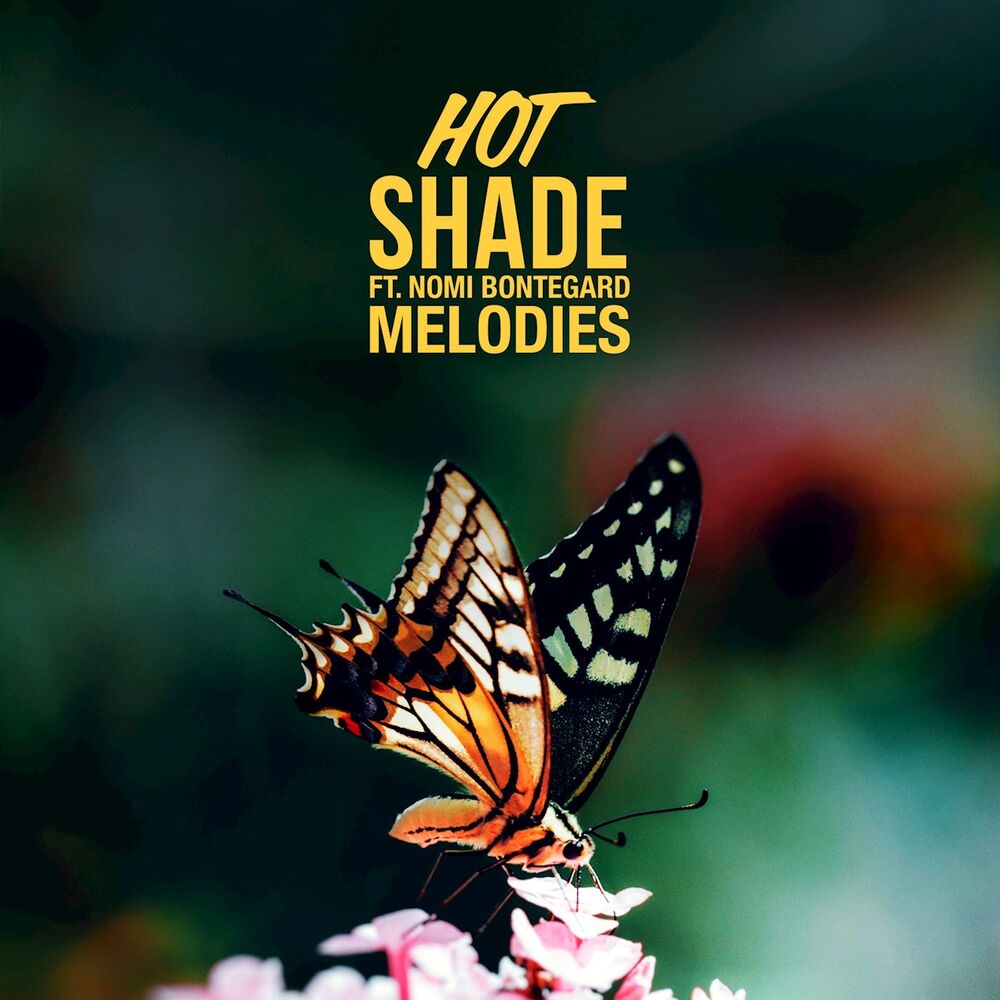 Picture of Melodies