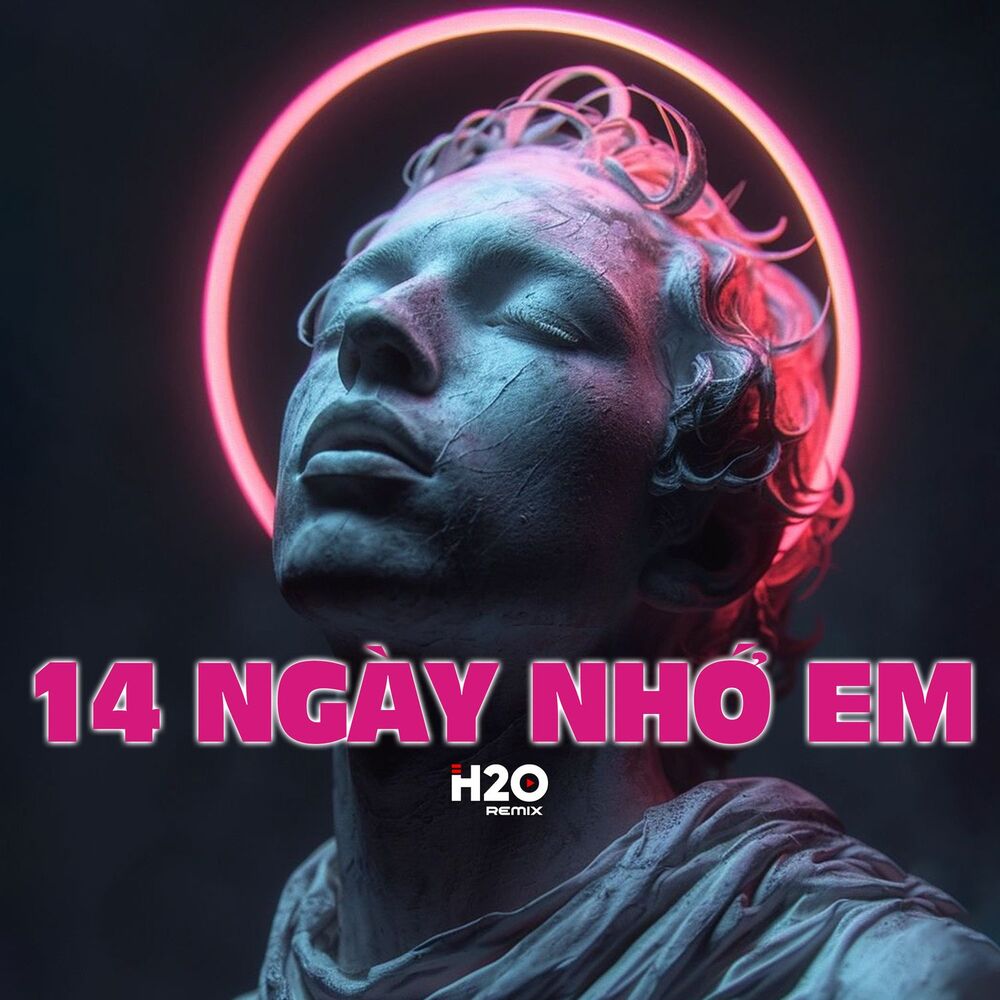 Picture of 14 Ngày Nhớ Em (Remix)