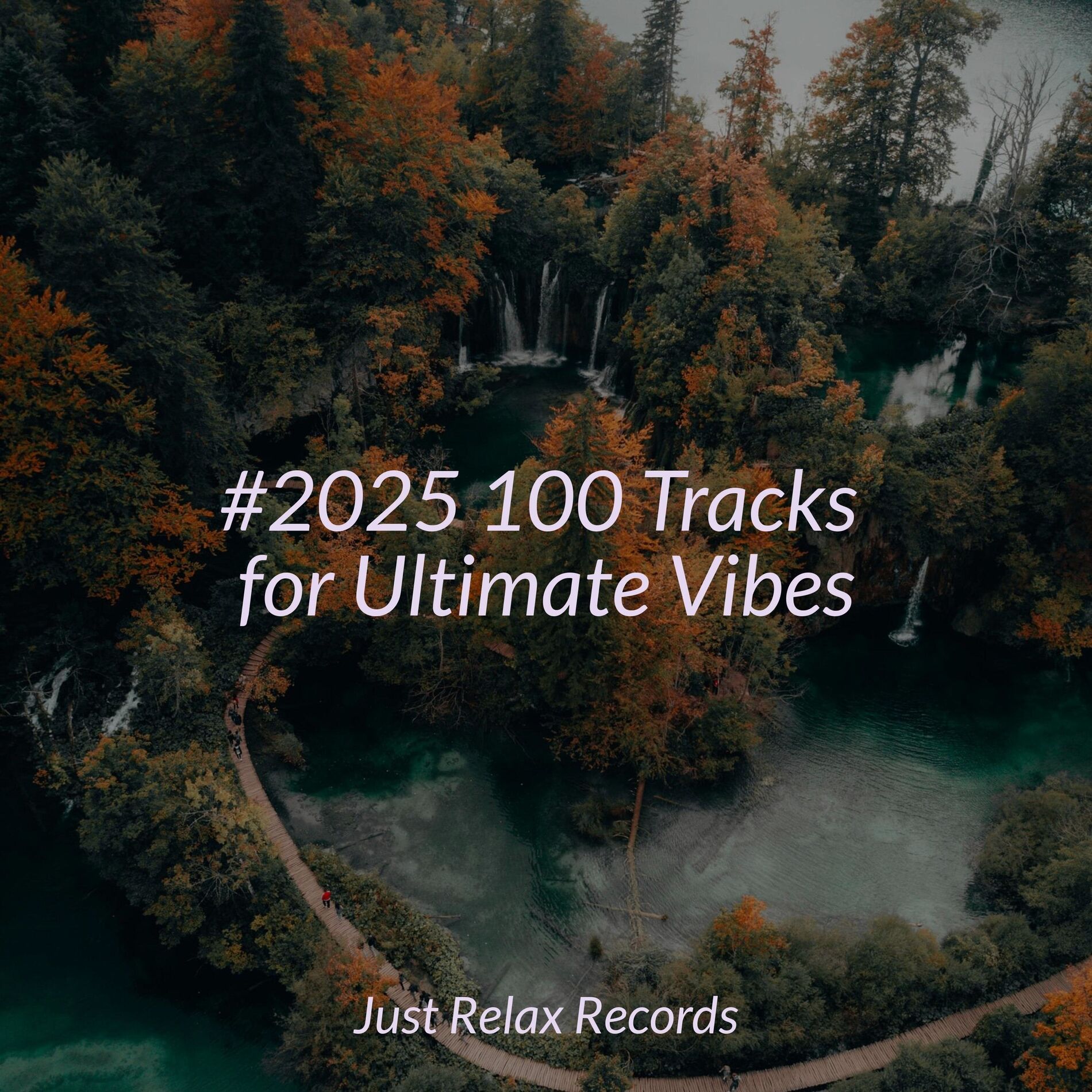 Album cover of #2025 100 Tracks for Ultimate Vibes