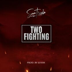 Cover of Two Fighting