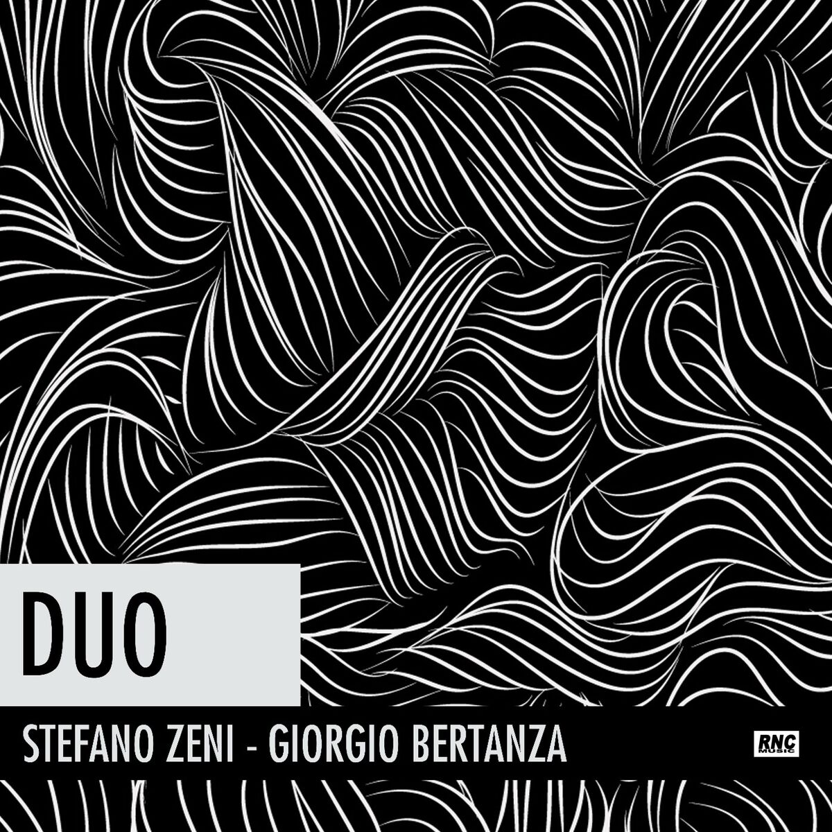 Album cover of Duo
