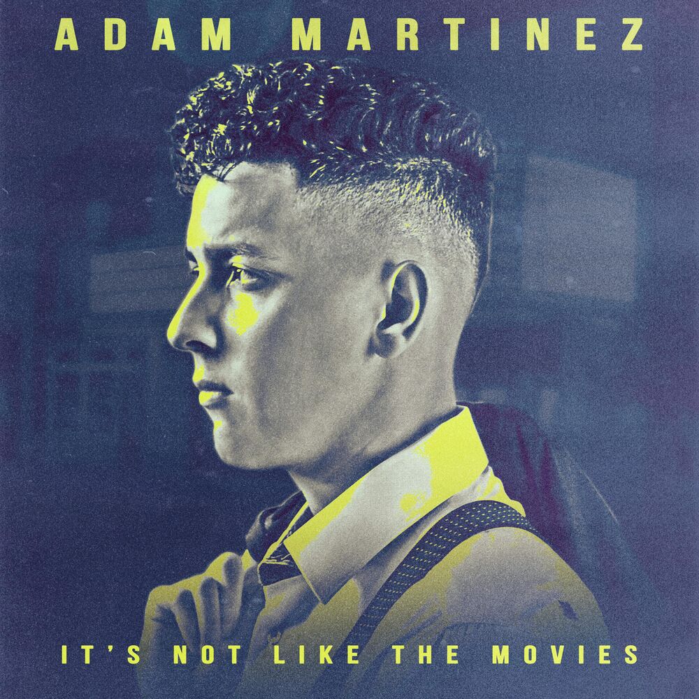 Picture of It's Not Like The Movies