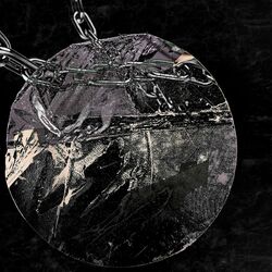 Cover of RUSSIAN FLOW