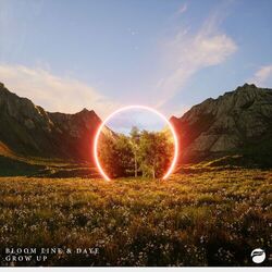 music cover