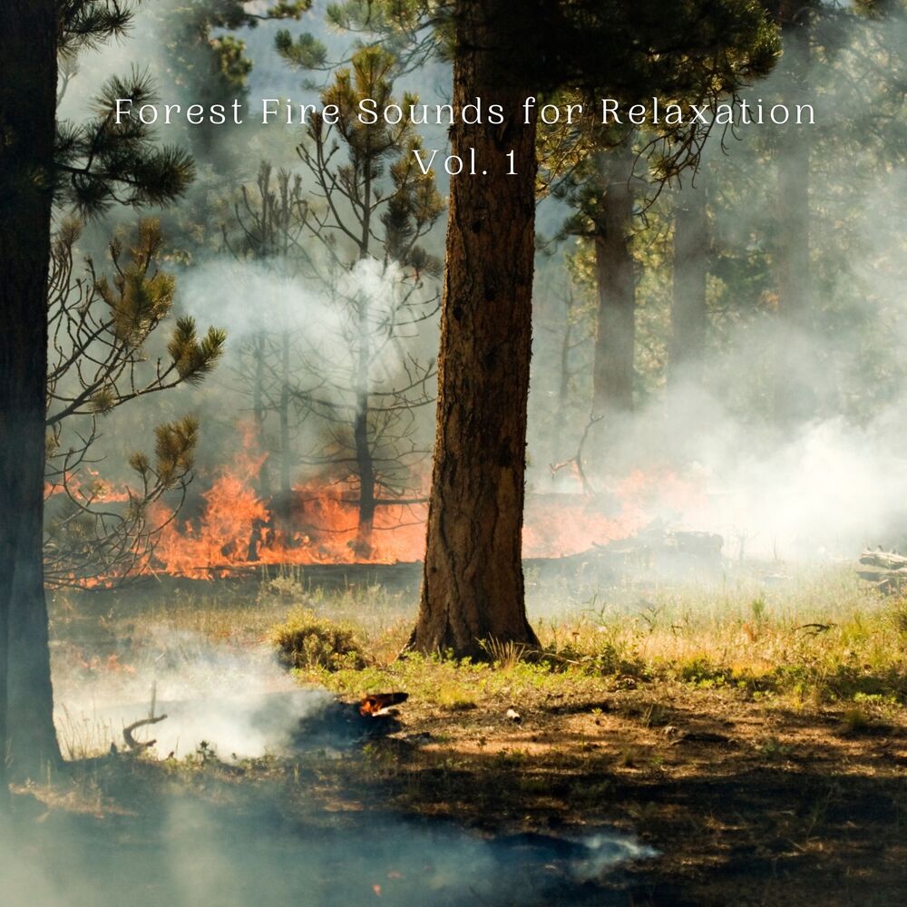 Picture of Forest Fire Sounds for Relaxation Vol. 1