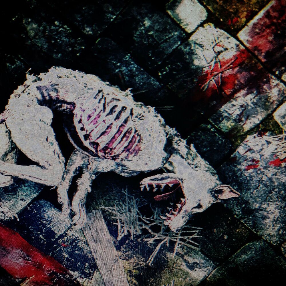 Picture of MIEDO Y HAMBRE