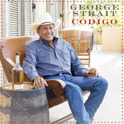 Cover of Codigo
