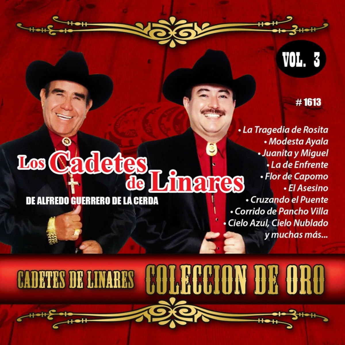 Album cover of Coleccion De Oro, Vol. 3