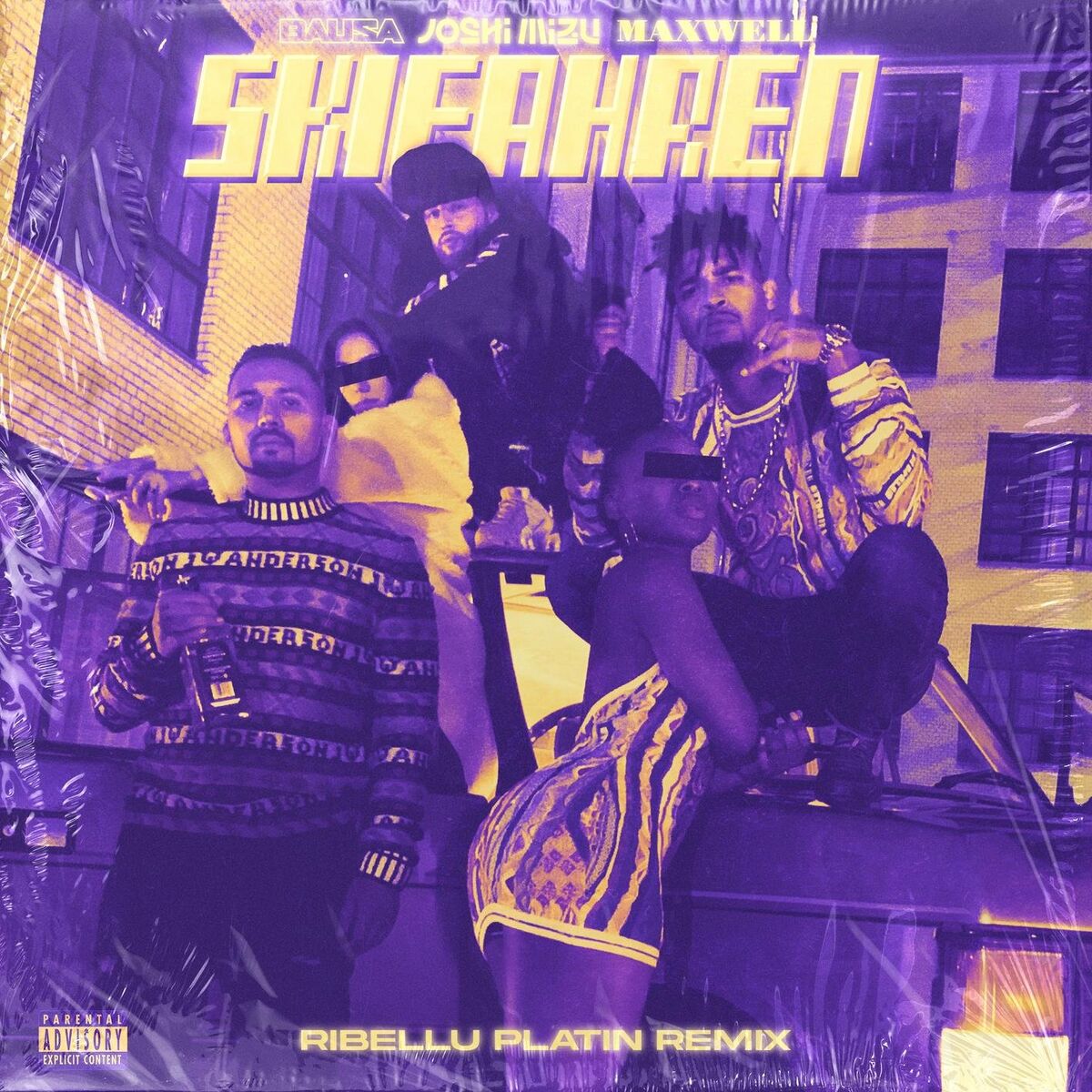 Album cover of Skifahren (feat. Bausa & Joshi Mizu) (Remix)
