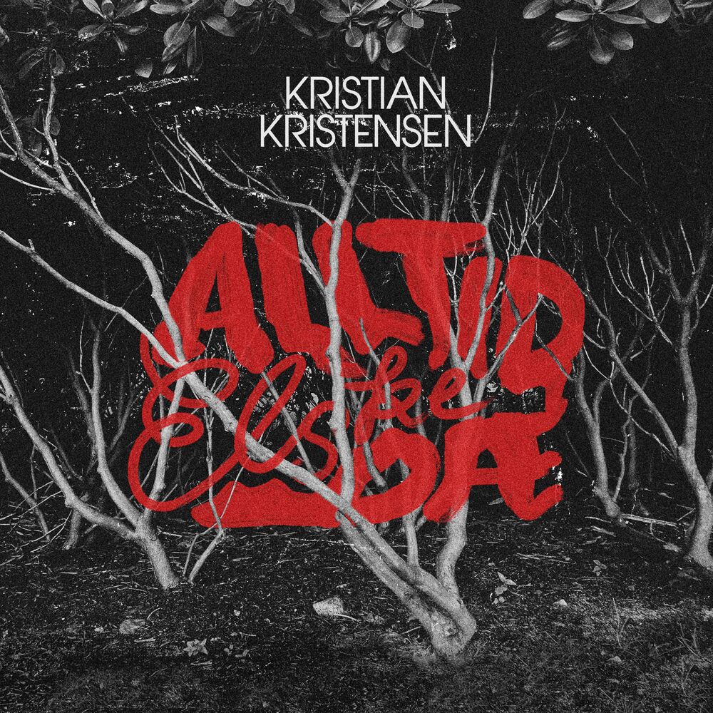Picture of Alltid elske dæ