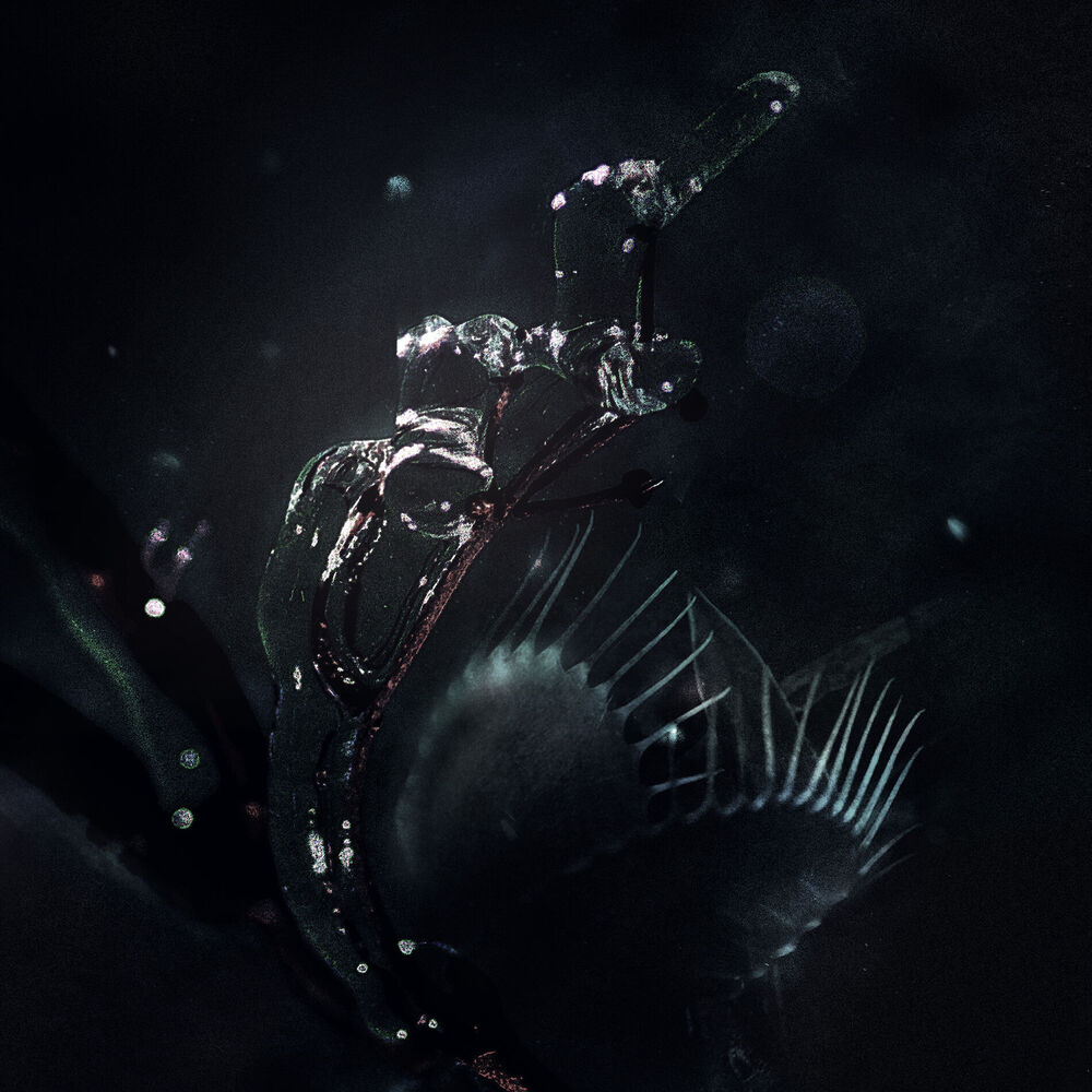Picture of Suppressor (The Remixes)