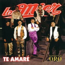 Cover of Te Amare