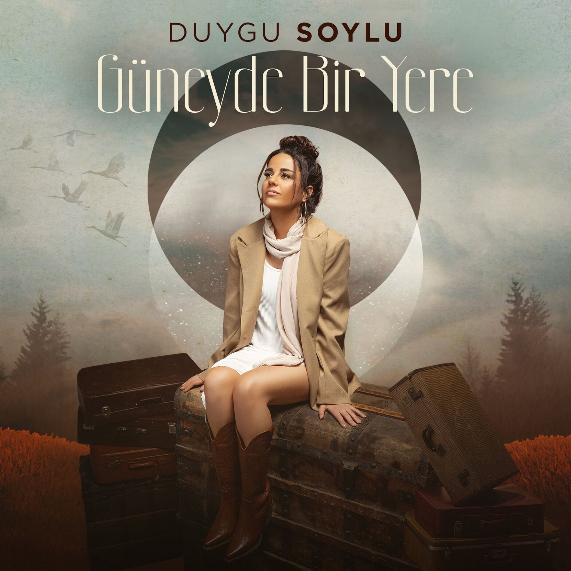 Album cover of Güneyde Bir Yere