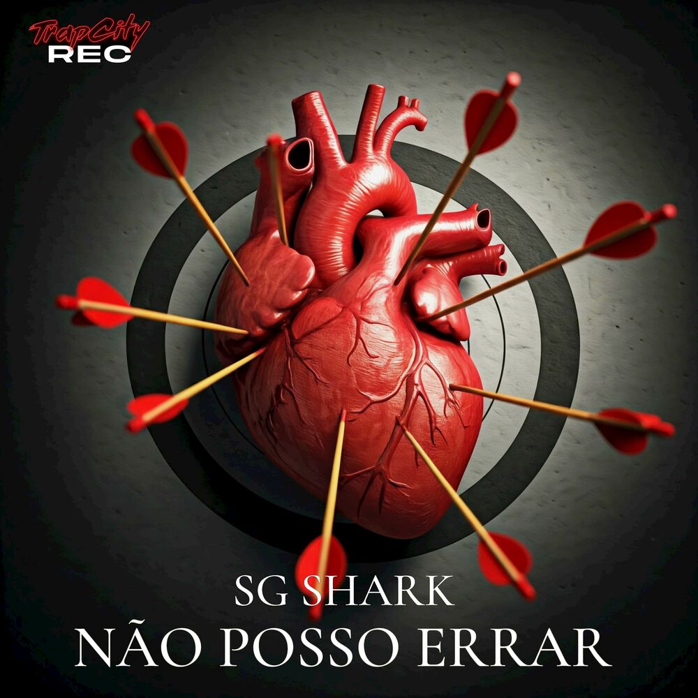 Picture of NÃO POSSO ERRAR