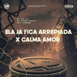 Cover of Ela Ja Fica Arrepiada X Calma Amor