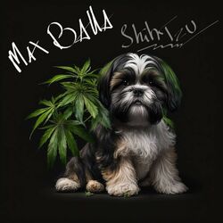 Cover of Shihtzu