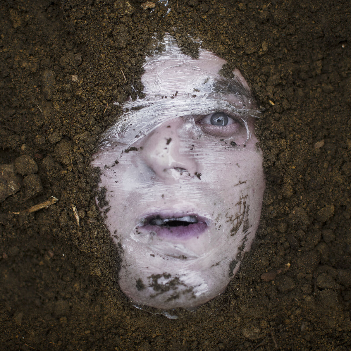 Album cover of Heavy is the Head
