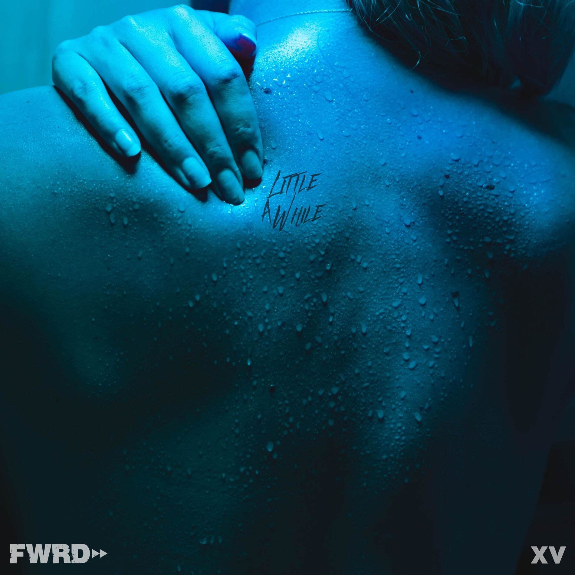 Album cover of A Little While (feat. XV)