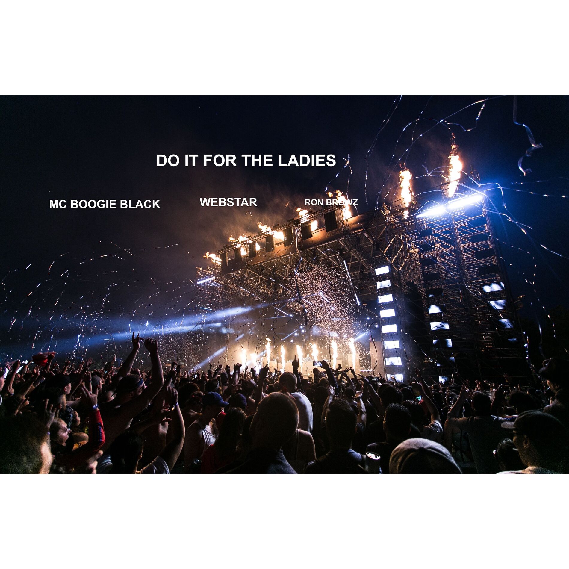 Album cover of DO IT FOR THE LADIES