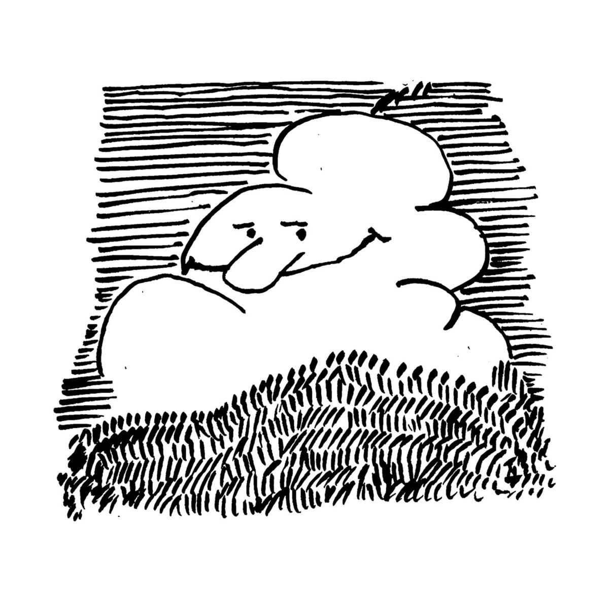 Album cover of Xoh dub