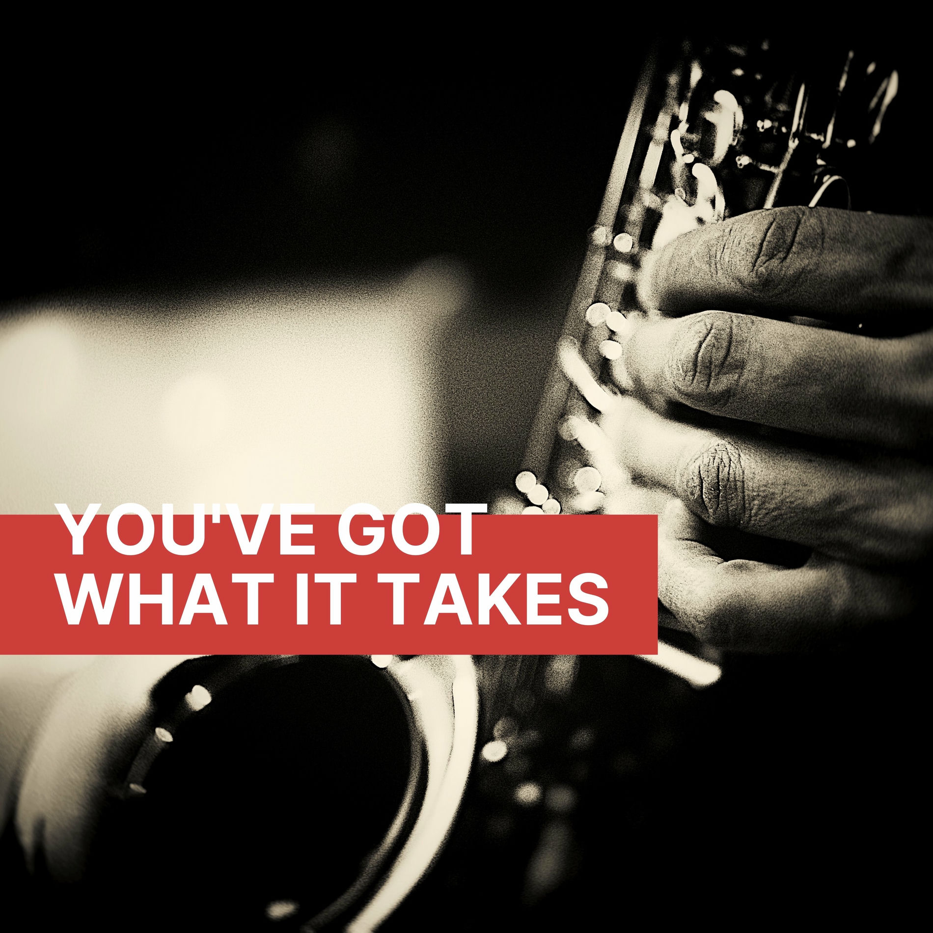 Album cover of You've Got What It Takes
