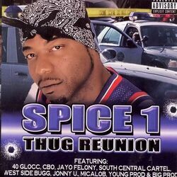 Cover of Thug Reunion