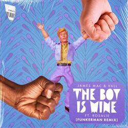 Cover of The Boy Is Mine (Funkerman Remix)