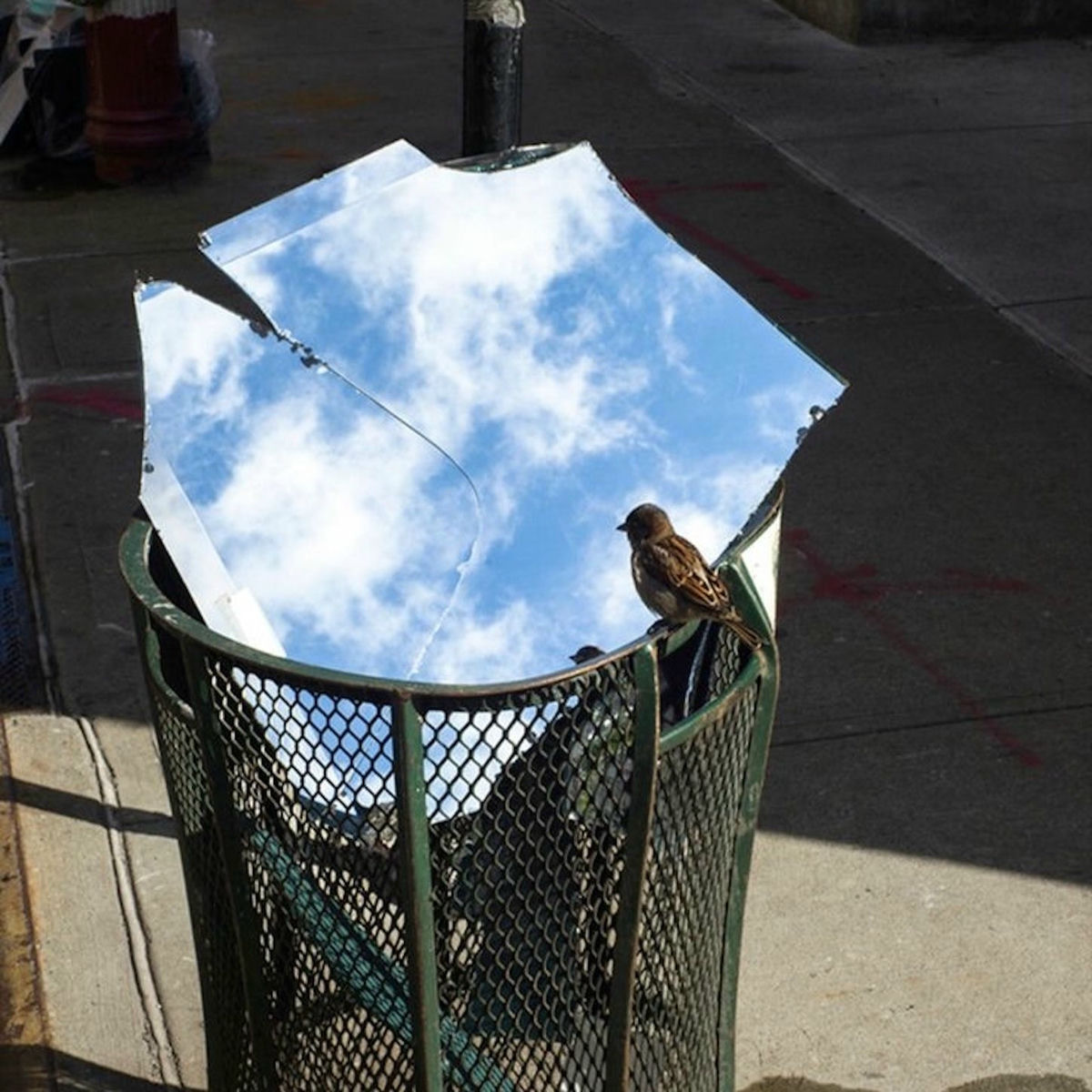 Album cover of bluebird