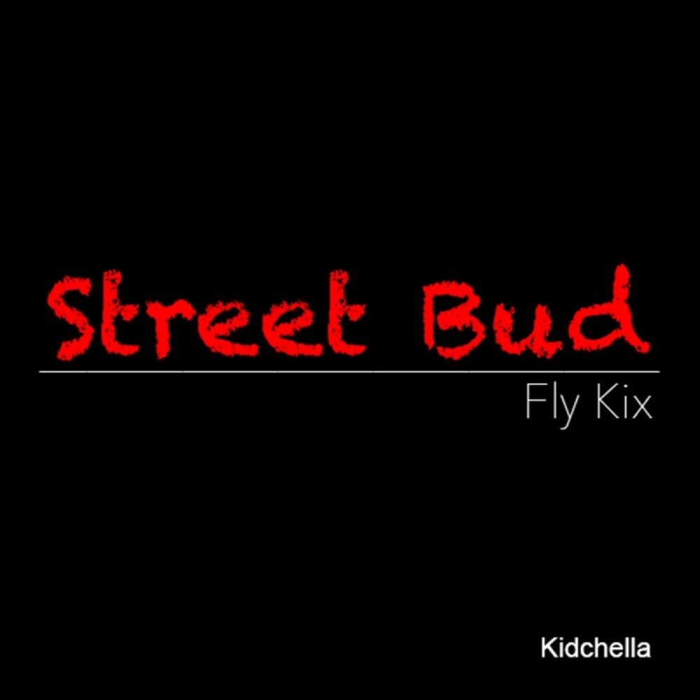 Picture of Fly Kix