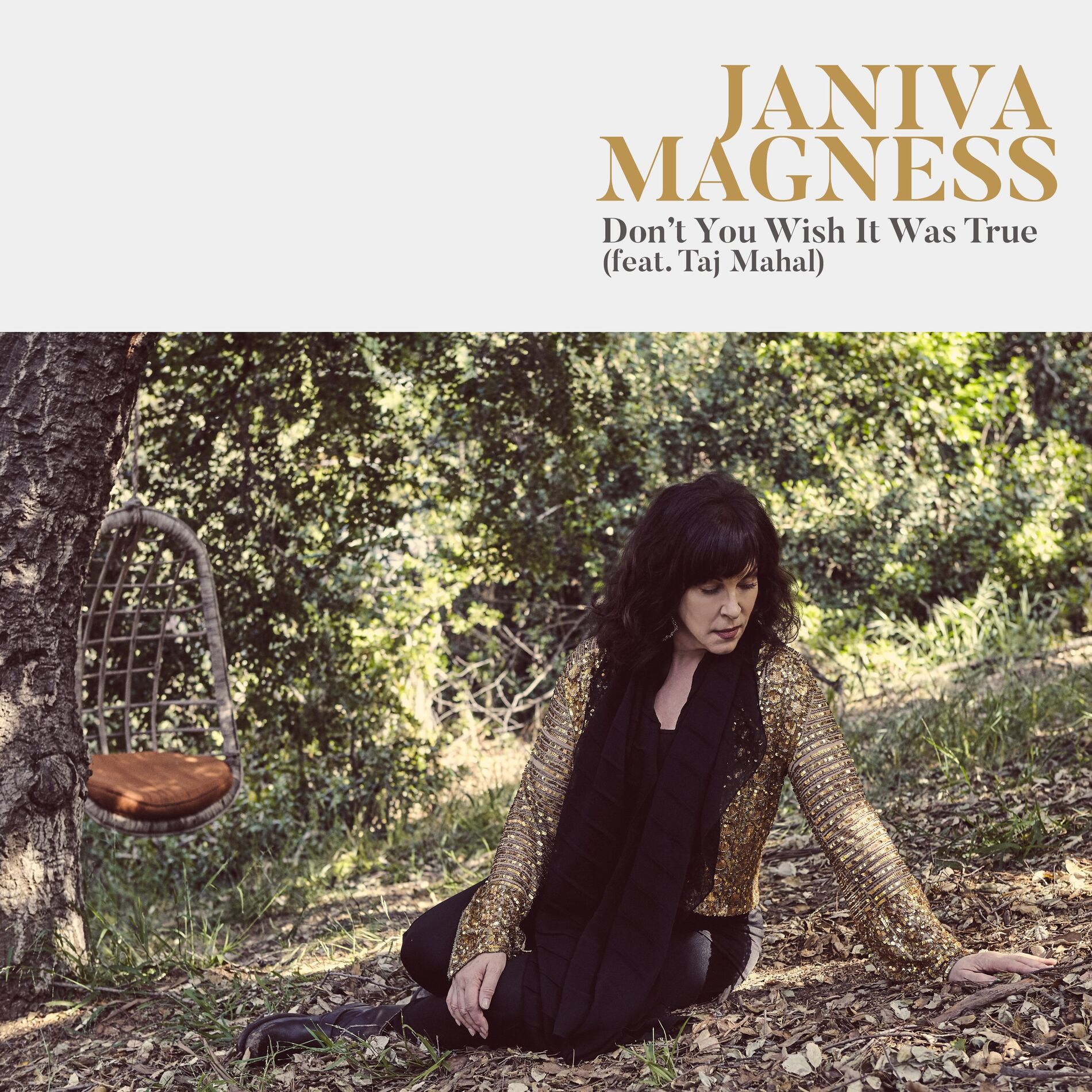 Album cover of Don't You Wish It Was True