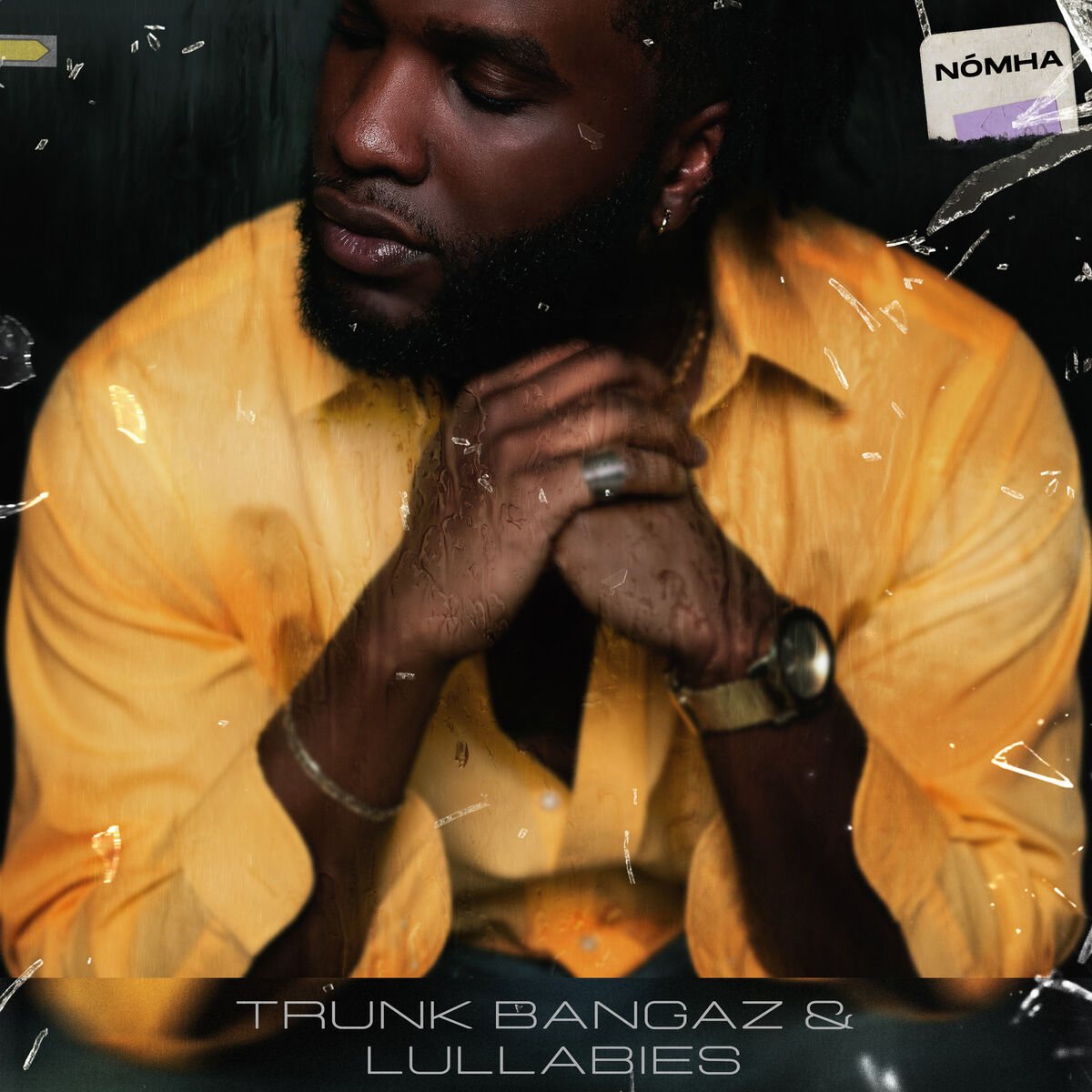 Album cover of Trunk Bangaz & Lullabies