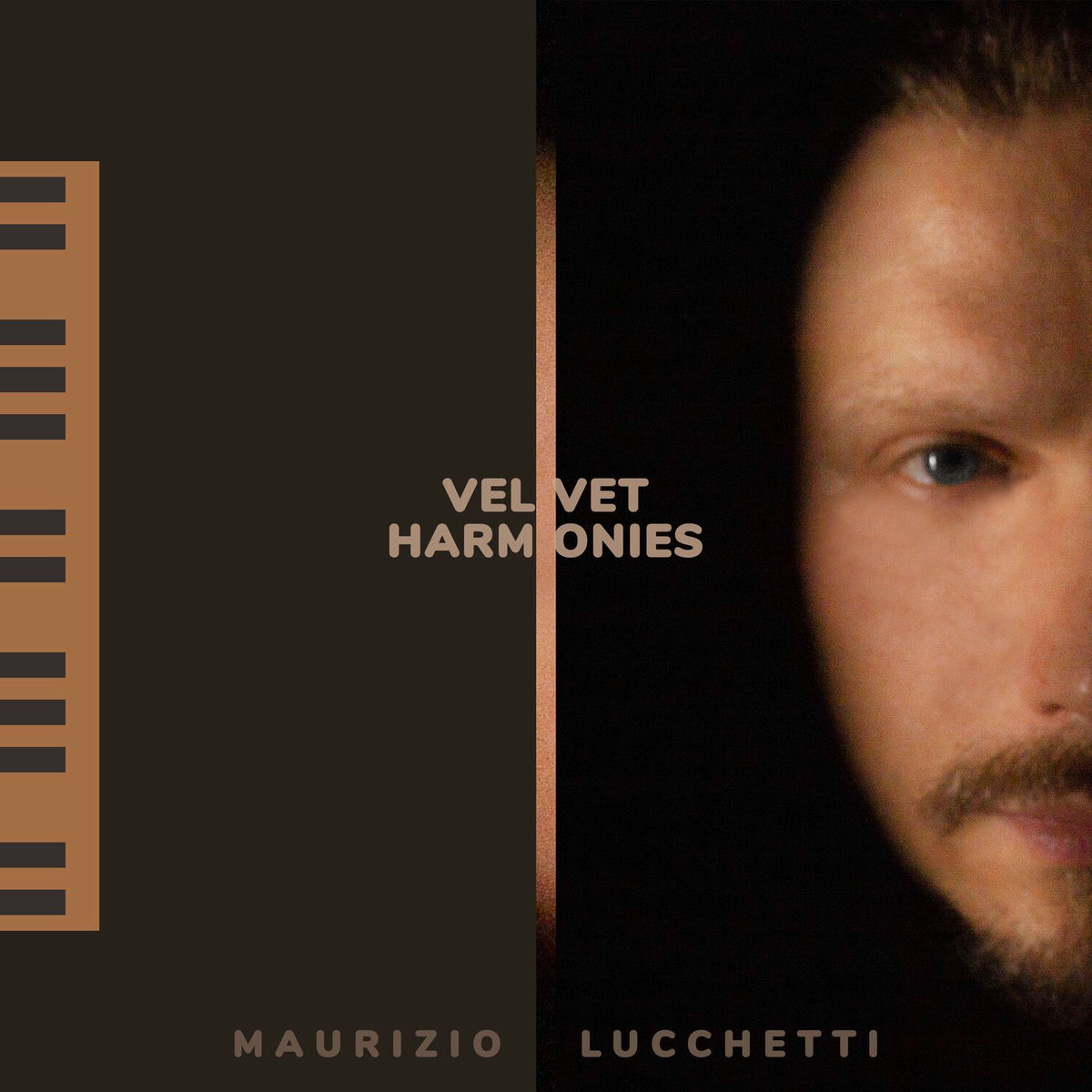Album cover of Velvet Harmonies