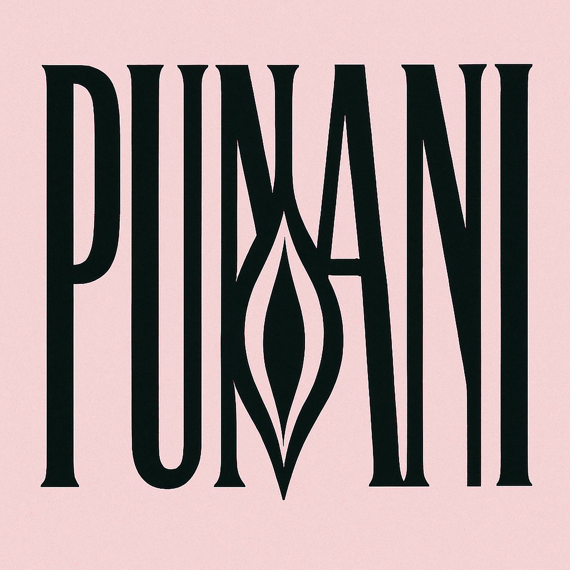 Album cover of Punani
