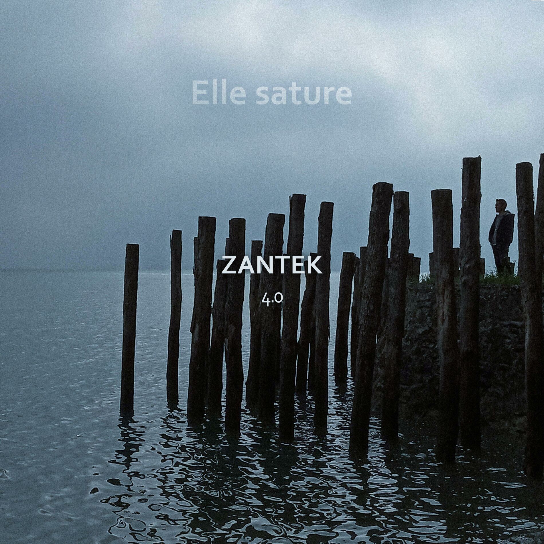 Album cover of Elle sature