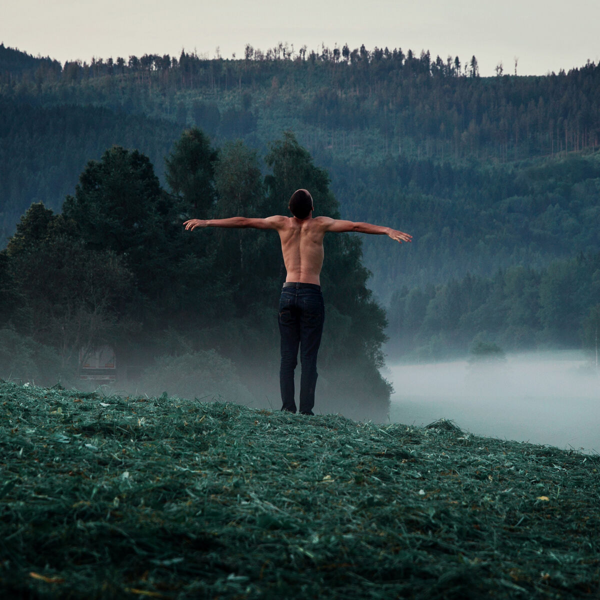 Album cover of Rest This Worried Heart