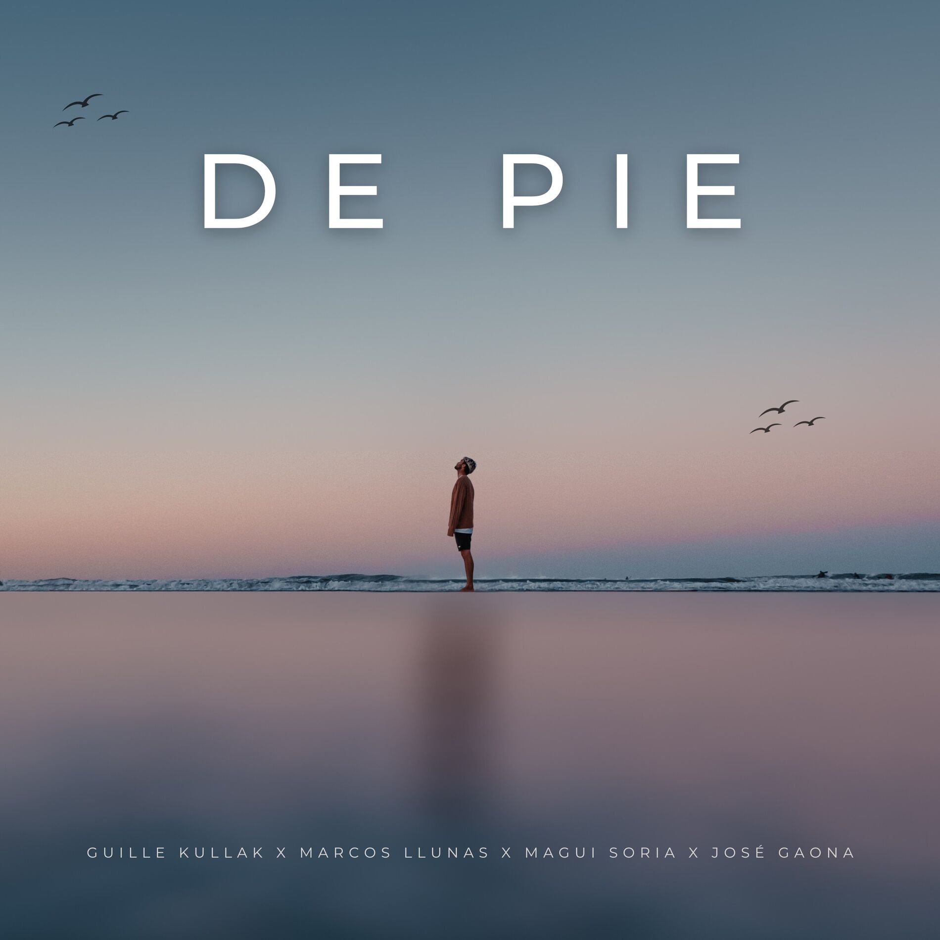 Album cover of De Pie