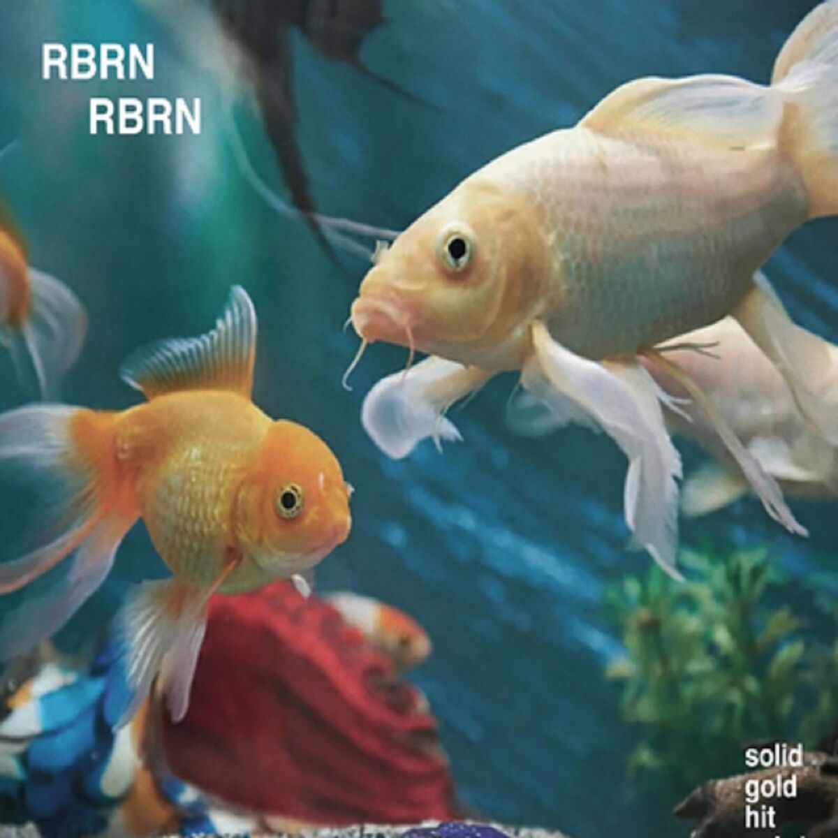 Album cover of Solid Gold Hit