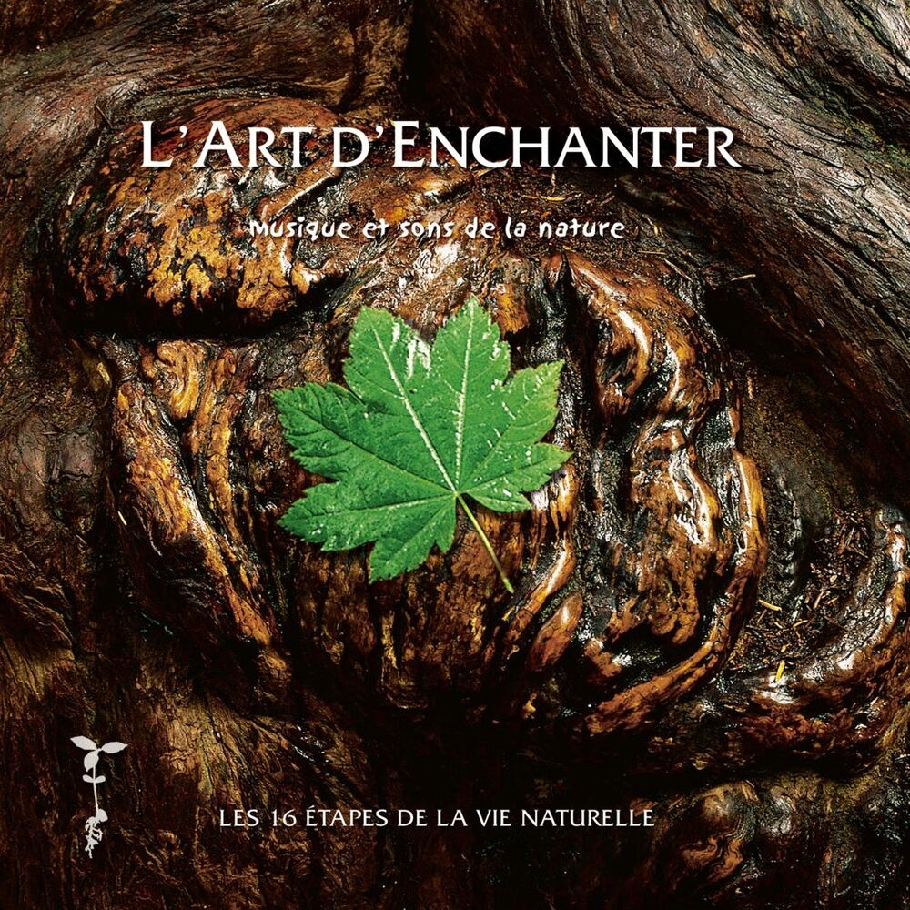 Picture of L'art d'enchanter