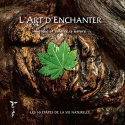 Cover of L'art d'enchanter