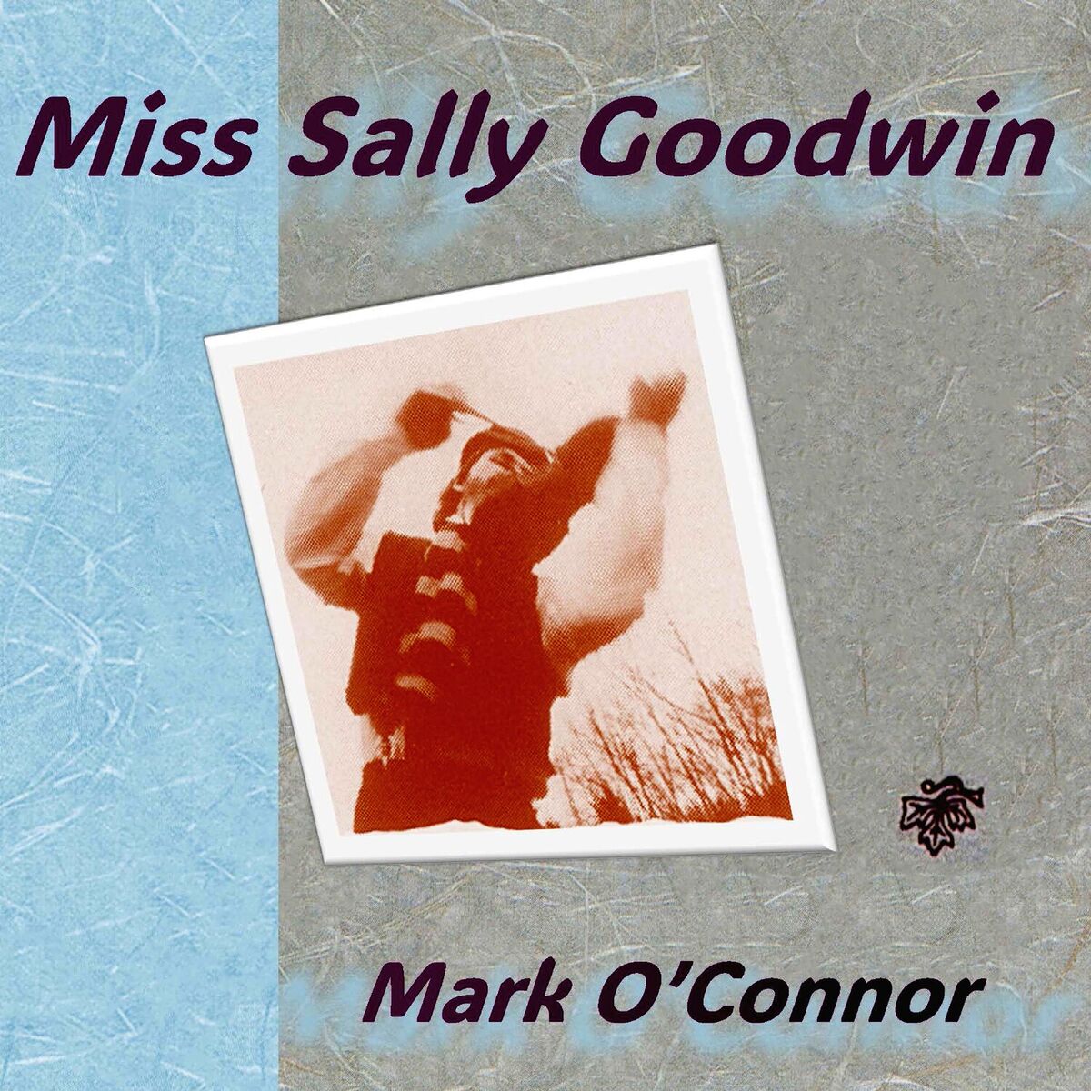 Album cover of Miss Sally Goodwin (2024 Remaster)