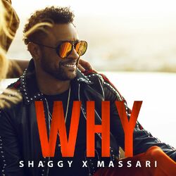 Cover of Why
