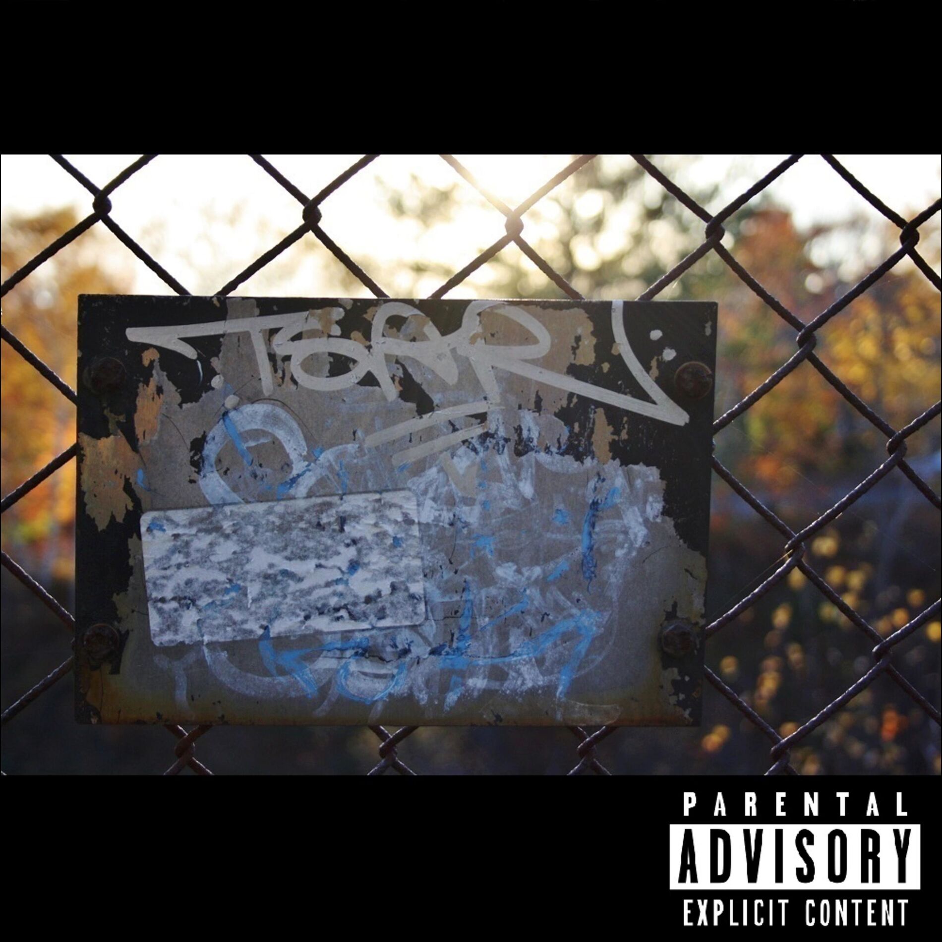 Album cover of Canvas
