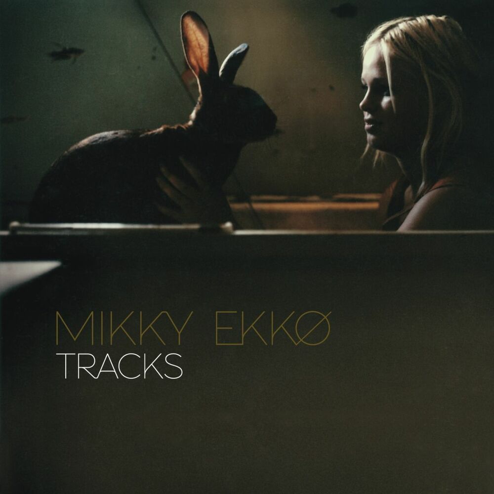 Picture of tracks