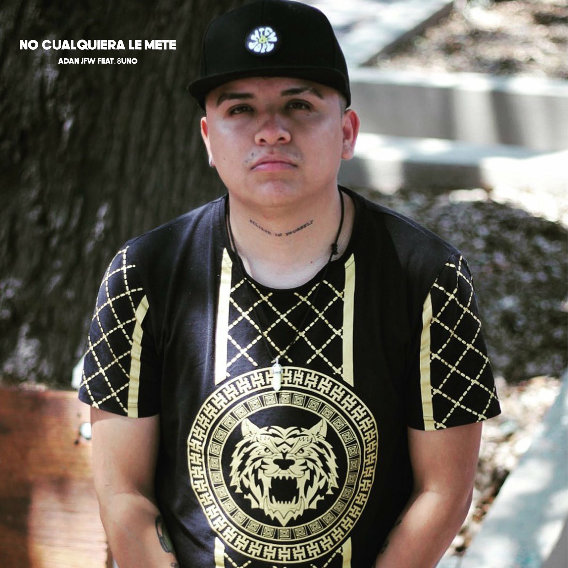 Album cover of No Cualquiera Le Mete