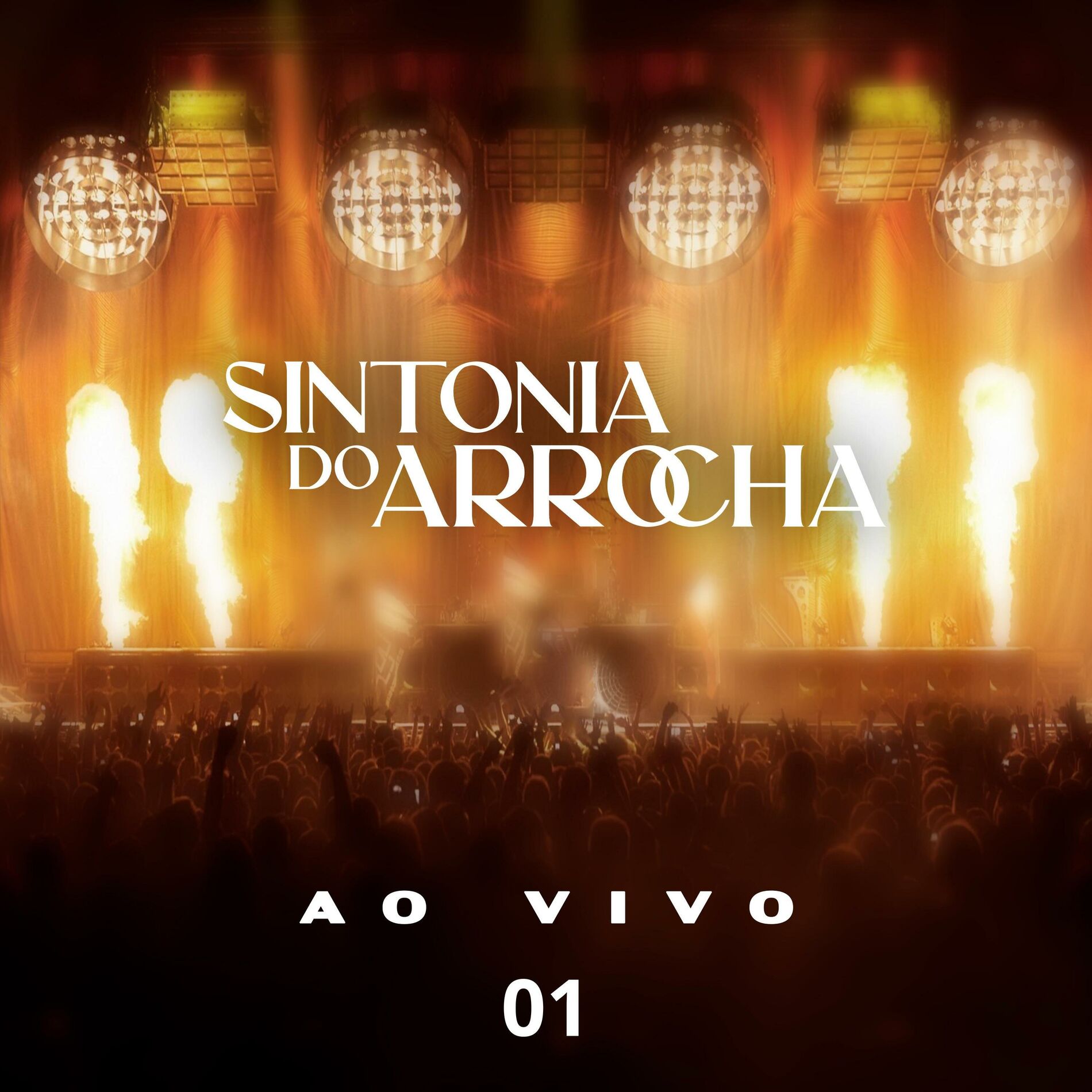 Album cover of Ao Vivo 01