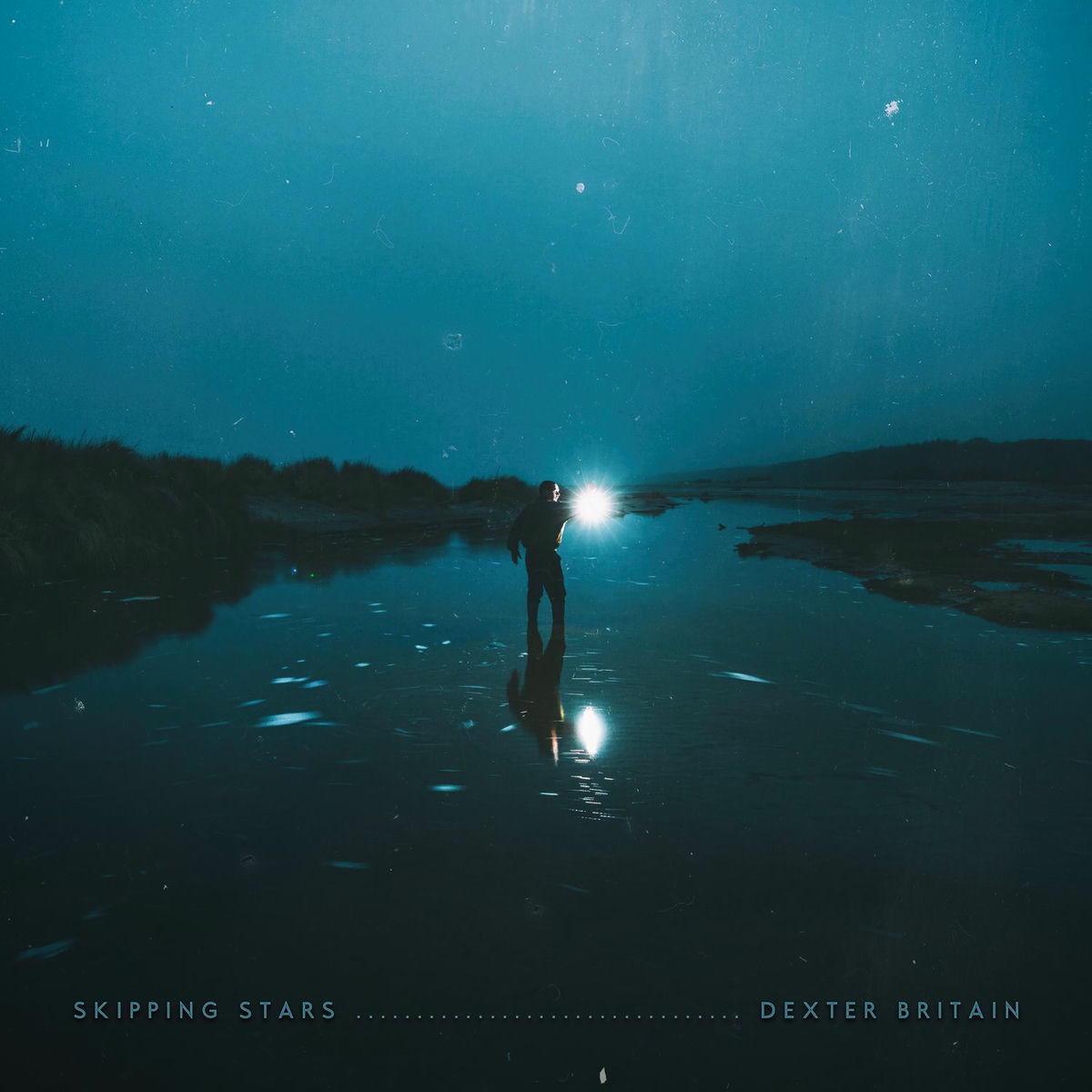 Album cover of Skipping Stars