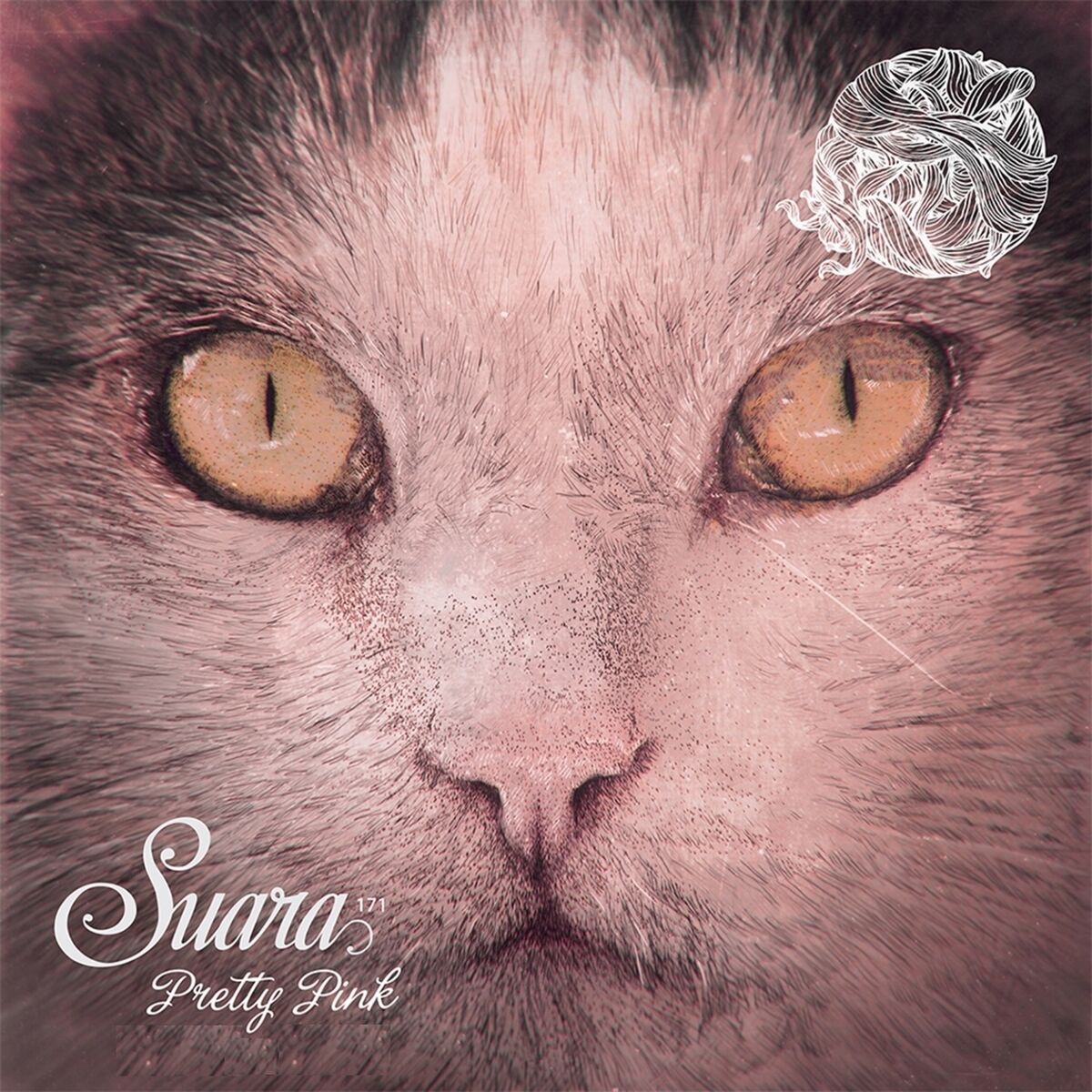 Album cover of What Is Love
