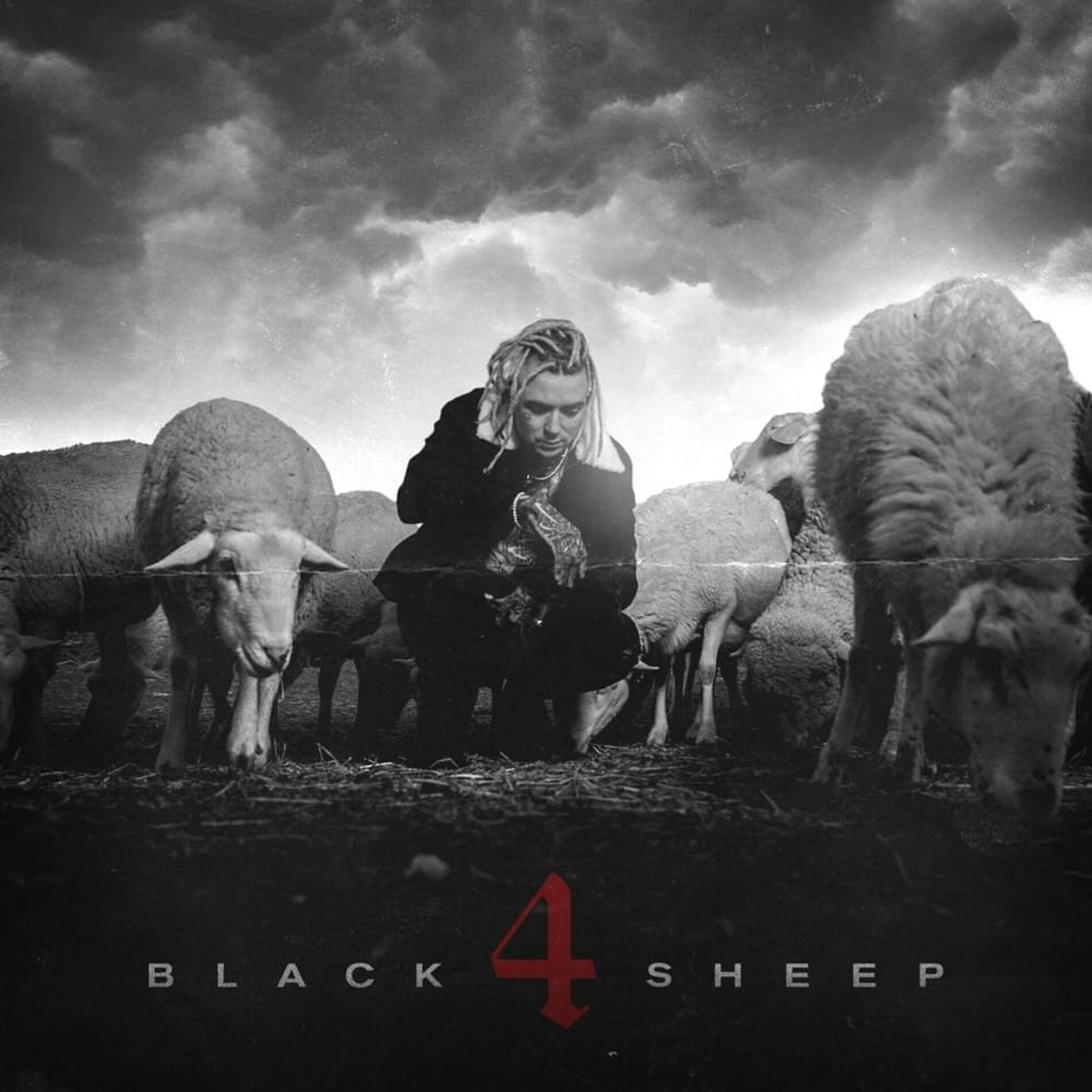 Album cover of Black Sheep 4