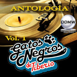 Cover of Antología Vol. 1